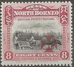Ploughing with Buffalo with Maltese Cross
