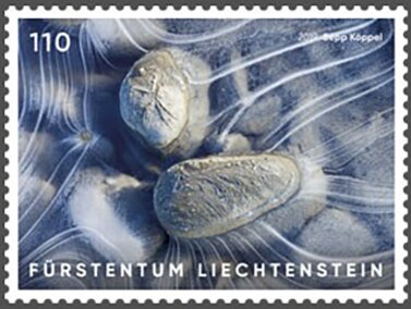 Stamp, Artistic Photography : Ice, Liechtenstein,  , Photography