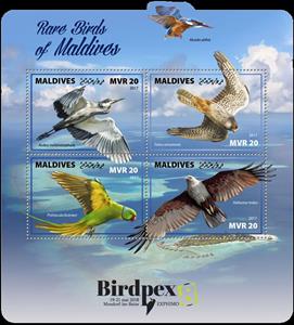 Mini Sheet, Rare Birds of Maldives, Maldives,  , Animals (Fauna), Birds, Birds of Prey, Eagles, Falcons, Herons, Parrots, Philatelic Exhibitions