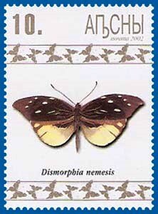Dismorphia nemesis