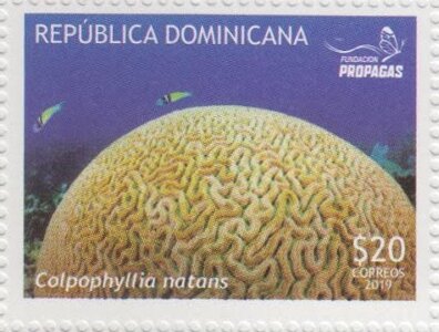 Stamp, Corals, Dominican Republic,  , Corals and Sponges
