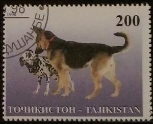 Stamp, Dalmatian with Alsatian, Cinderellas,  , Animals (Fauna)