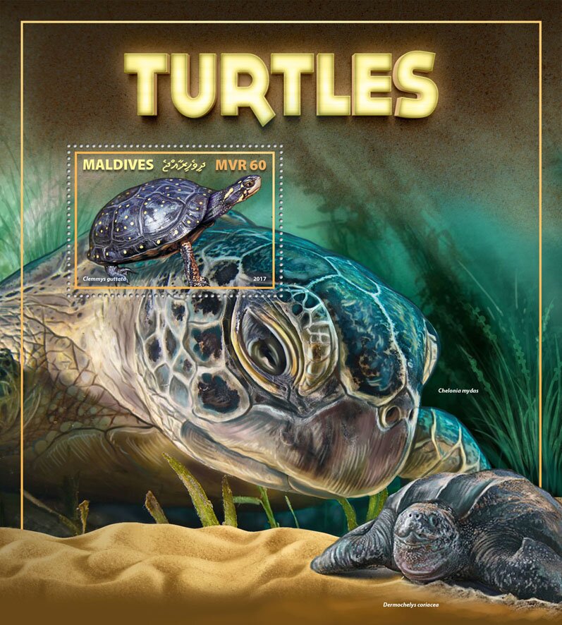 Turtles