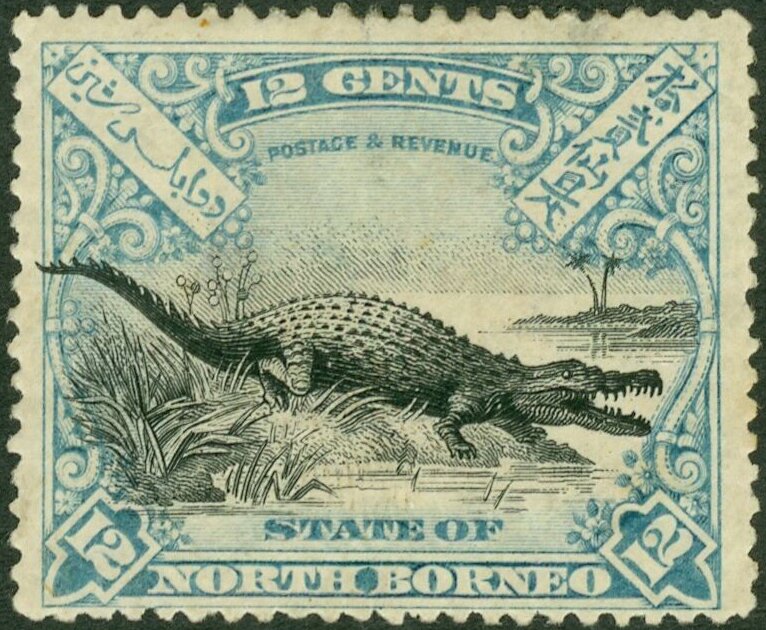 Saltwater Crocodile (Crocodylus porosus)