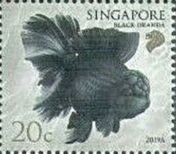 Stamp, Black Oranda, Singapore,  , Animals (Fauna), Fishes