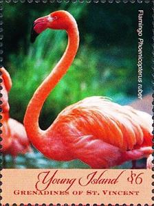Stamp, Phoenicoptrus ruber, Saint Vincent Grenadines,  , Animals (Fauna), Birds, Flamingos