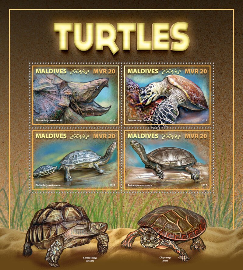 Turtles