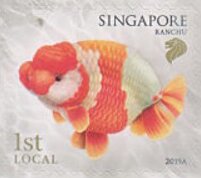 Ranchu