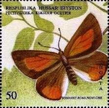 Stamp, Tomares romanovi, Cinderellas,  , Animals (Fauna), Butterflies, Insects