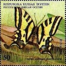 Papilio alexanor