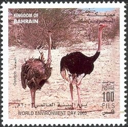 Stamp, Ostrich (Struthio camelus), Bahrain,  , Birds, Animals (Fauna)