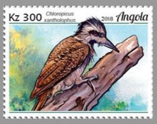 Stamp, Chloropicus xantholophus, Angola,  , Animals (Fauna), Birds, Woodpeckers