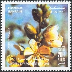 Cassia Italica