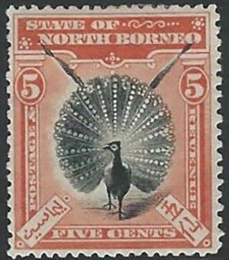 Great Argus Pheasant (Argusianus argus)