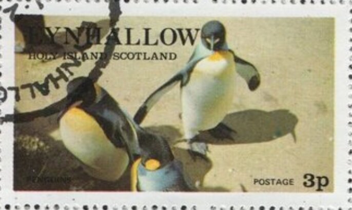 Penguins