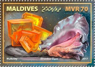 Wulfenite, Strombus gigas