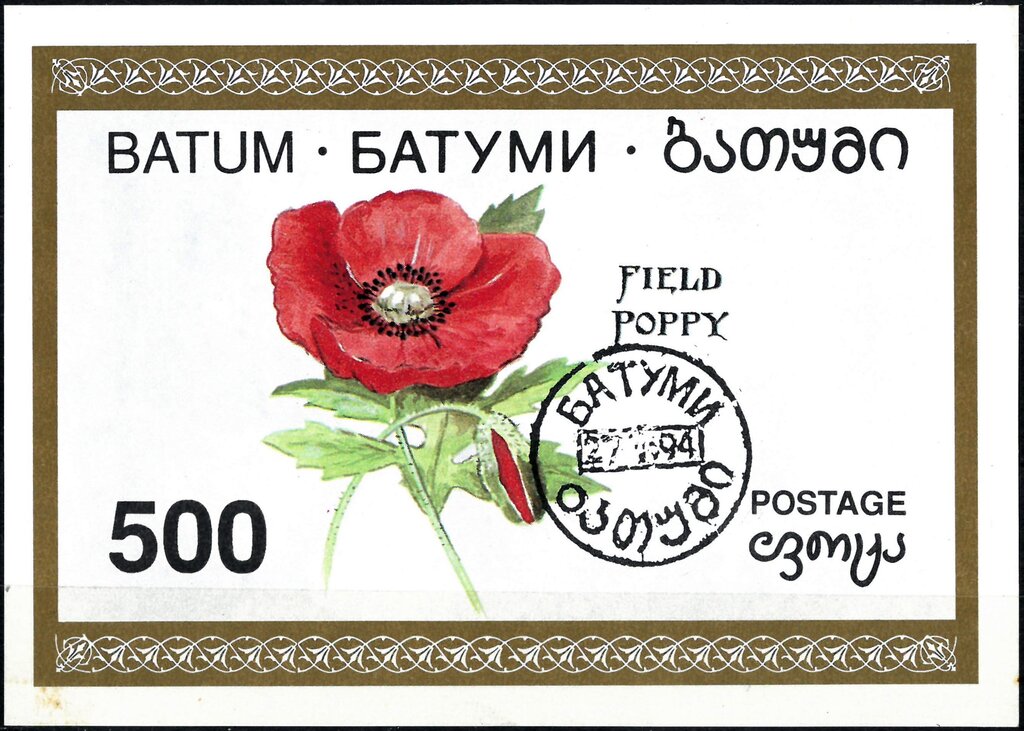 Field Poppy