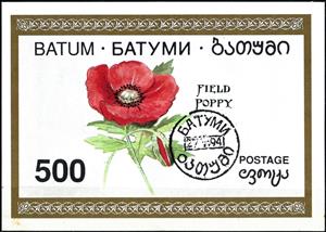 Souvenir Sheet, Field Poppy, Cinderellas,  , Flowers, Plants (Flora)