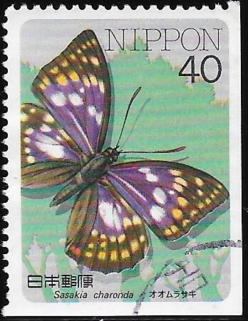 Japanese Emperor (Sasakia charonda)
