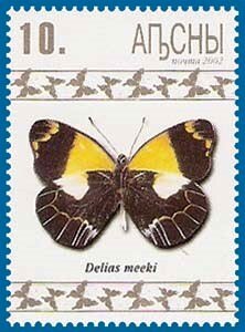 Delias meeki