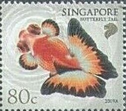 Butterfly Tail