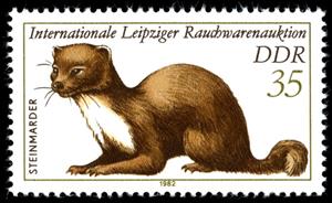 Stamp, Stone Marten (Martes foina), Germany, Democratic Republic,  , Animals (Fauna)
