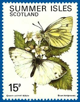 Green veined white