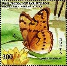 Tjaleropis jonia