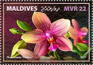 Stamp, Phalaenopsis "Liodoro", Maldives,  , Flowers, Orchids, Plants (Flora)