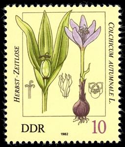 Stamp, Colchicum autumnale, Germany, Democratic Republic,  , Plants (Flora)