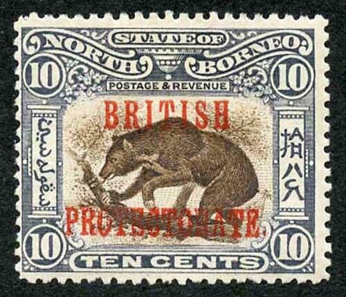 Sun Bear (Ursus malayanus) ovp "BRITISH PROTECTORATE"