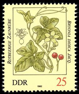 Stamp, Bryonia dioica, Germany, Democratic Republic,  , Plants (Flora)
