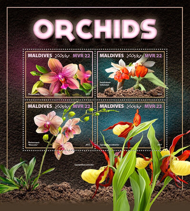 Orchids