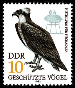 Stamp, Osprey (Pandion haliaetus), Germany, Democratic Republic,  , Birds, Birds of Prey, Animals (Fauna)