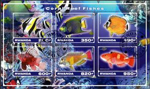 Mini Sheet, Coral Reef Fishes, Cinderellas,  , Animals (Fauna), Fishes