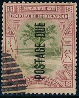 Sago Palm Overprinted