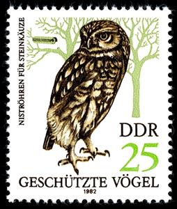 Stamp, Little Owl (Athene noctua), Germany, Democratic Republic,  , Birds, Birds of Prey, Owls, Animals (Fauna)
