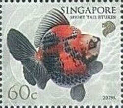 Stamp, Short-Tail Ryukin, Singapore,  , Animals (Fauna), Fishes