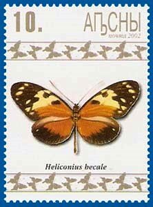 Heliconius becale
