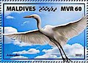 Stamp, Great Egret (Ardea alba), Maldives,  , Animals (Fauna), Birds