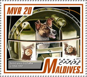 Soviet Space Dog Laika
