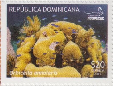 Corals