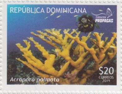 Corals