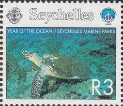 Chelonia mydas