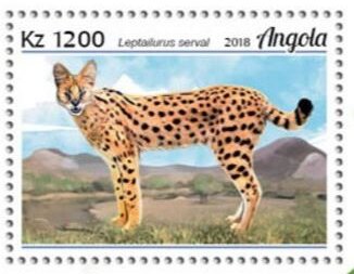 Leptailurus serval