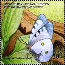 Parnassius nordmanni