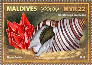 Stamp, Rhodochrosite, Opeatostoma pseudodon, Maldives,  , Animals (Fauna), Minerals, Shells