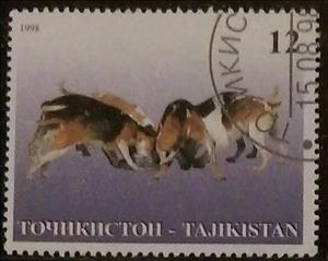 Stamp, Dogs feeding, Cinderellas,  , Animals (Fauna)