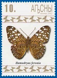 Hamadryas feronia