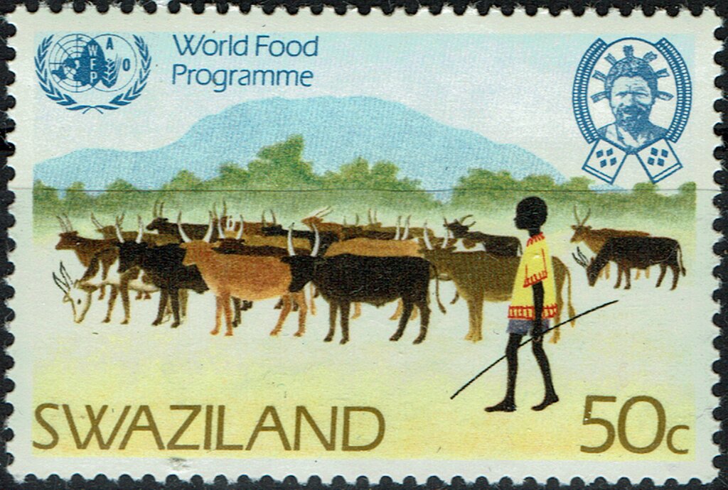 Cattle